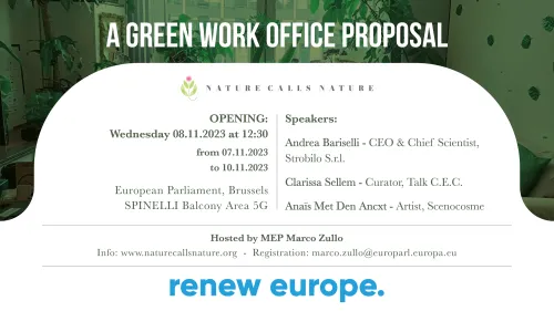 A green work office proposal